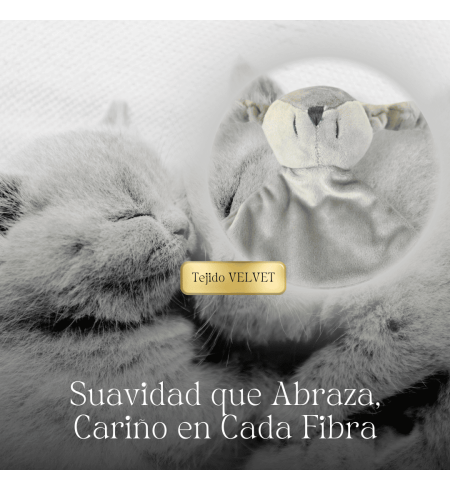 Set Doudou + 2 succhietti con nome + clip | Regalo unico e funzionale