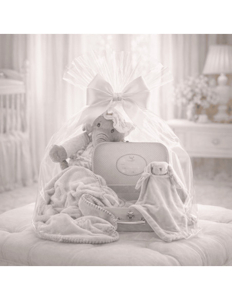 Canastilla con valigetta, copertina e doudou personalizzati | Regalo elegante per neonato